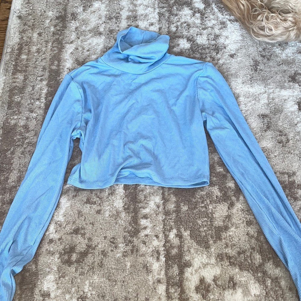Baby blue long sleeve turtle neck crop top